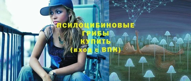 Псилоцибиновые грибы Psilocybe  ссылка на мегу ссылка  Ялта  что такое  